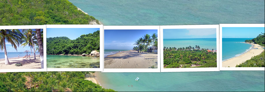 brasil playas encabezado
