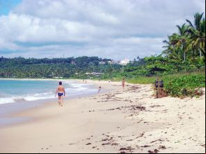 Playa Araçaipe - Arraial d'Ajuda 