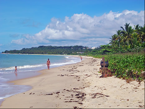 Playa Araçaipe - Arraial d'Ajuda 