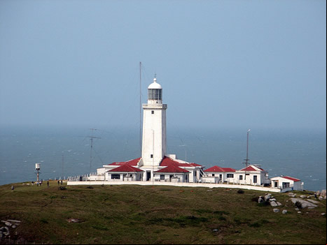 Faro