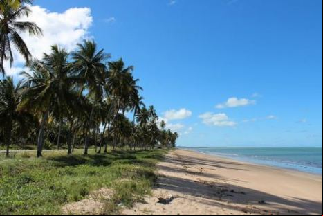 Maragogi