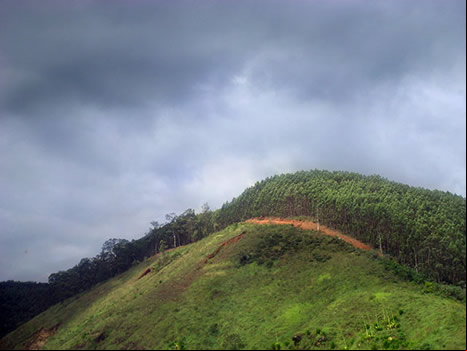 Brasil y el cambio climático