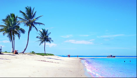 Sur de bahía