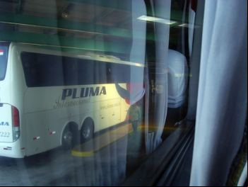 Omnibus Pluma en Brasil