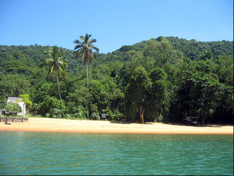 Aracatibinha